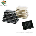 Einweg -Black Fish Sushi -Plastik für Lebensmittelbehälter